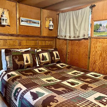 Mt Rainier Little Green Cabin On Big Creek! Ashford Esterno foto