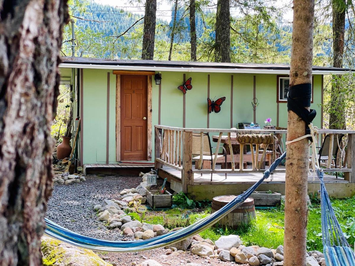 Mt Rainier Little Green Cabin On Big Creek! Ashford Esterno foto