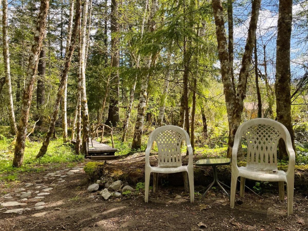 Mt Rainier Little Green Cabin On Big Creek! Ashford Esterno foto
