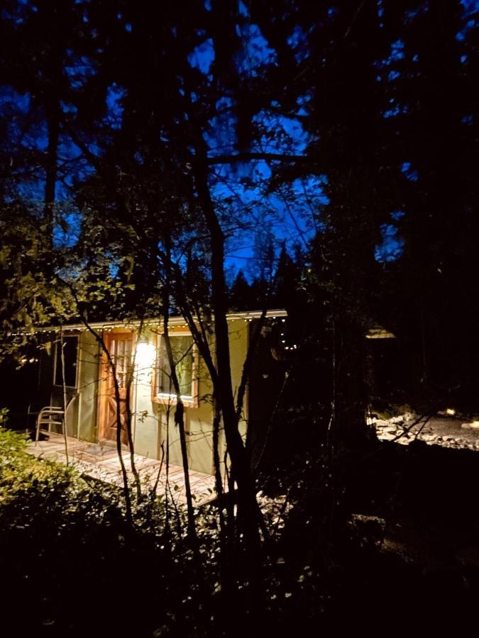 Mt Rainier Little Green Cabin On Big Creek! Ashford Esterno foto