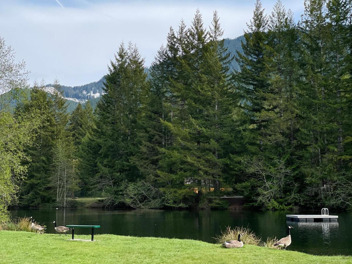 Mt Rainier Little Green Cabin On Big Creek! Ashford Esterno foto