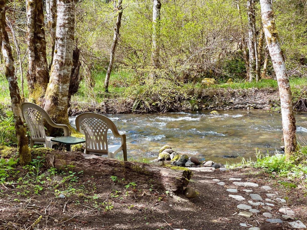 Mt Rainier Little Green Cabin On Big Creek! Ashford Esterno foto
