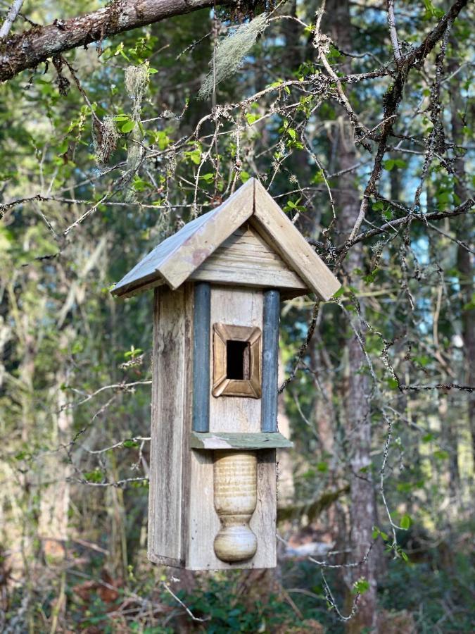 Mt Rainier Little Green Cabin On Big Creek! Ashford Esterno foto
