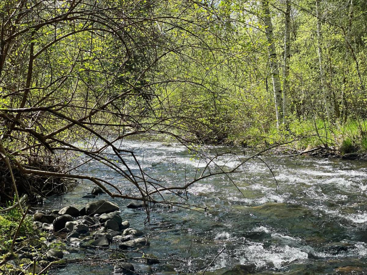 Mt Rainier Little Green Cabin On Big Creek! Ashford Esterno foto