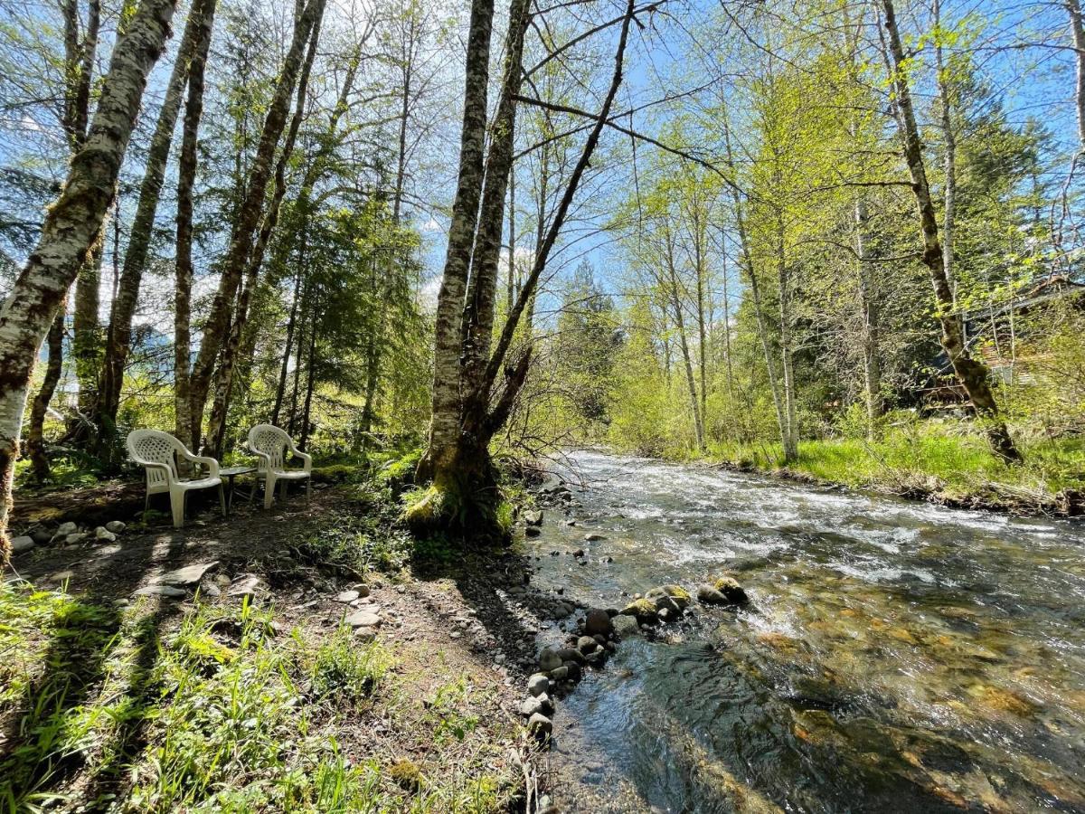 Mt Rainier Little Green Cabin On Big Creek! Ashford Esterno foto
