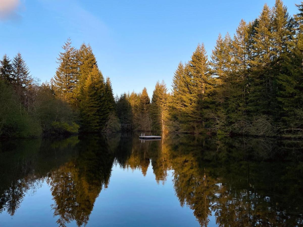Mt Rainier Little Green Cabin On Big Creek! Ashford Esterno foto