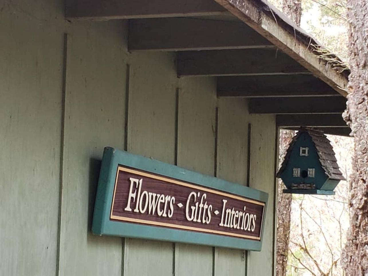 Mt Rainier Little Green Cabin On Big Creek! Ashford Esterno foto